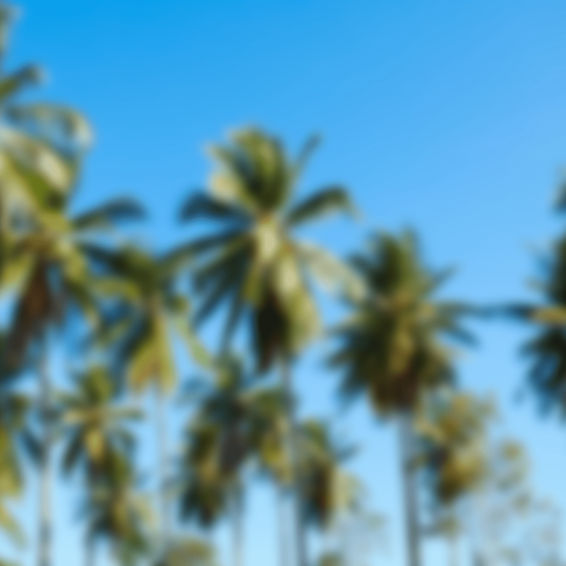 <br />
<b>Warning</b>: Undefined variable $featured_image_alt in <b>/home/elitedna/public_html/wp-content/themes/dna_2025-06-17-11-48/single-post.php</b> on line <b>65</b><br />